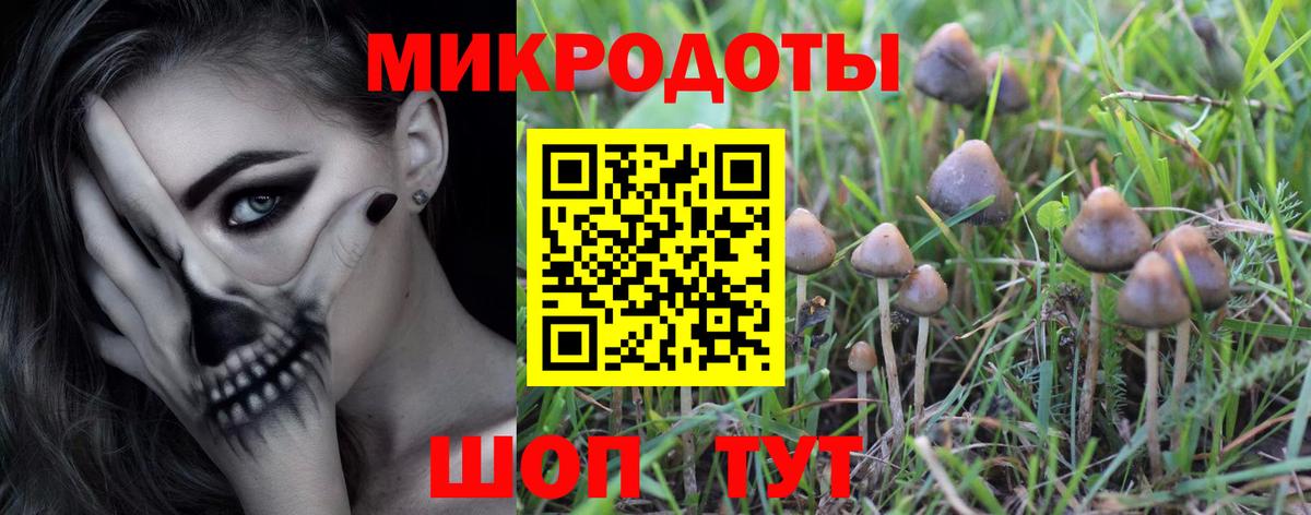 Псилоцибиновые грибы Psilocybe  Вход с VPN  Салехард 