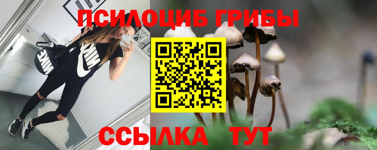 Псилоцибиновые грибы мухоморы Салехард
